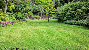 Pest Control Leduc Services